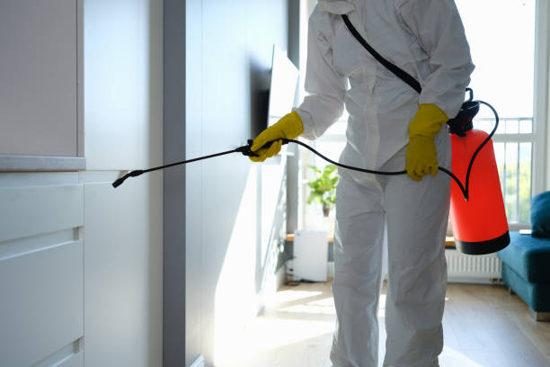 Best Mold Remediation for Schools in Du Quoin, IL