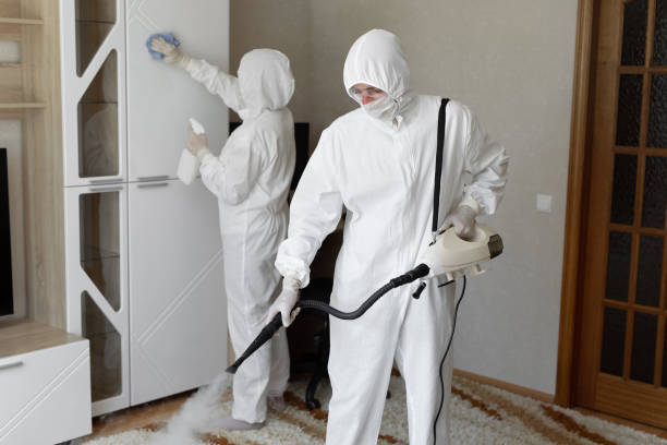 Best White Mold Remediation in Du Quoin, IL