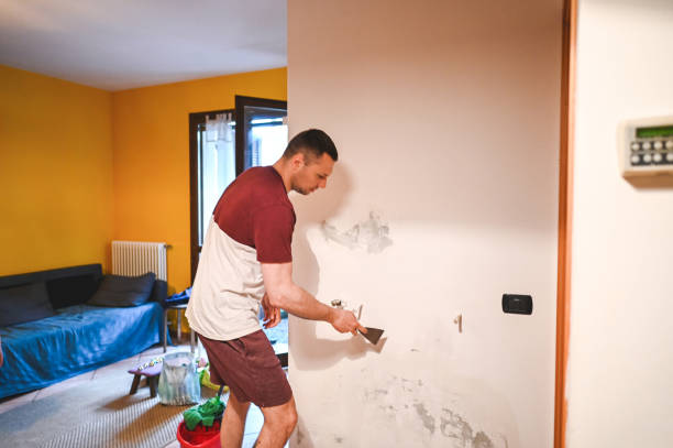 Best Bathroom Mold Remediation in Du Quoin, IL
